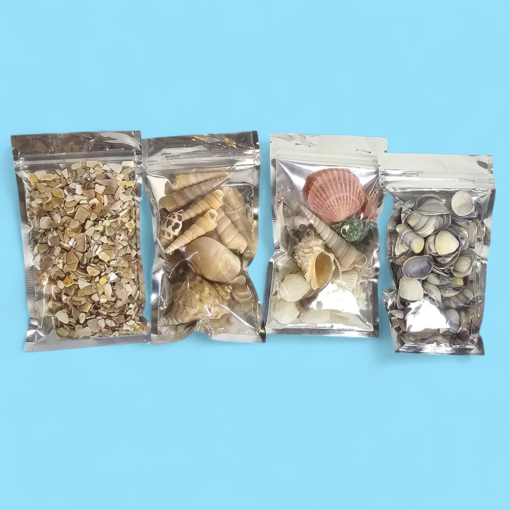 Natural Seashell Mix for Crafts
